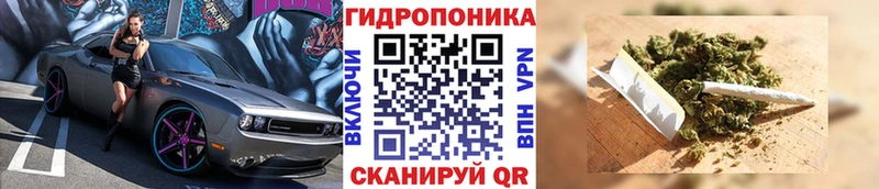 Как найти закладки Жердевка Амфетамин  Меф  ГАШ  КОКАИН 
