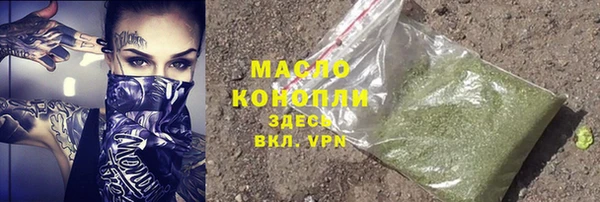 молекула духа Тихвин
