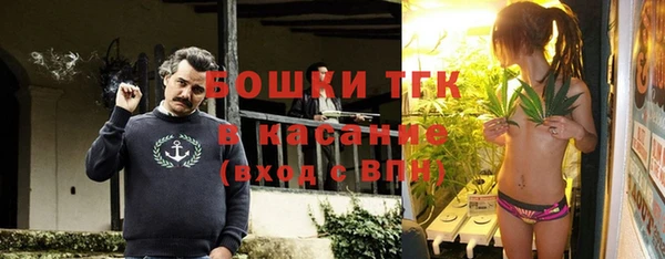 PSILOCYBIN Гусев