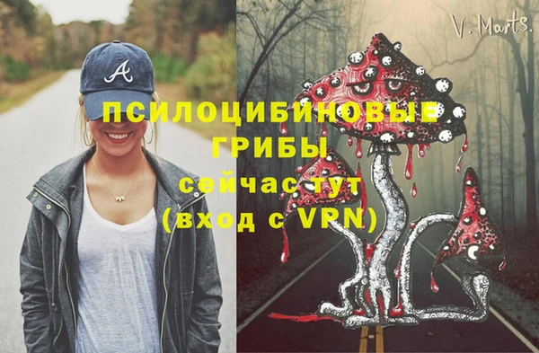 кристаллы Гусиноозёрск