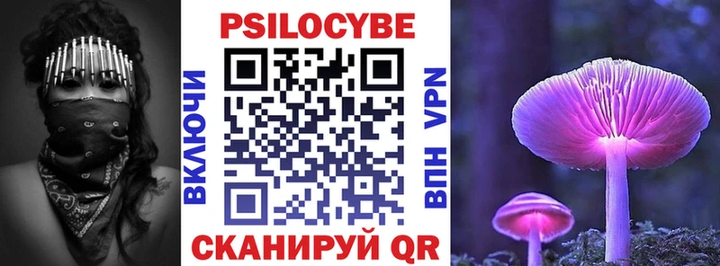 MEGA ссылка  Жердевка  Псилоцибиновые грибы MAGIC MUSHROOMS 